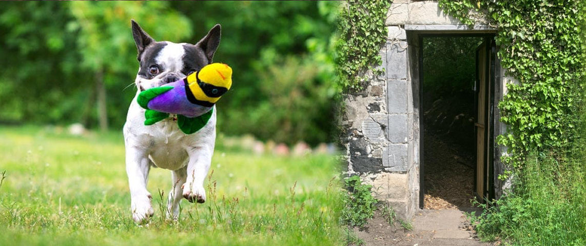 Enhancement Garden - Secure Dog Exercise Area